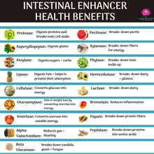 Intestinal Enhancer - 18 Multi Enzymes for Digestion