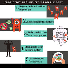 Professional Probiotics - New and Improved