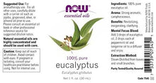 Eucalyptus Essential Oil - 1 oz